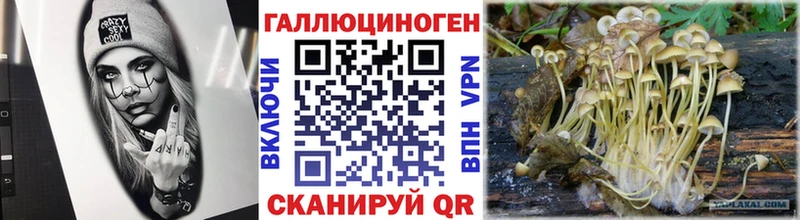 Псилоцибиновые грибы мухоморы  где продают   Грязовец 